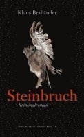 Klaus Brabänder - Steinbruch, Häftad