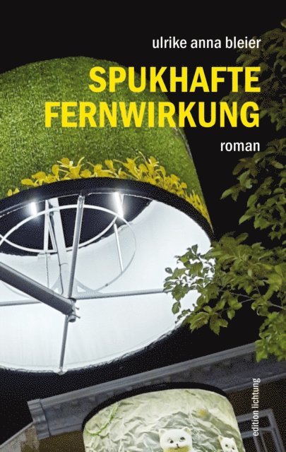 Ulrike Anna Bleier - Spukhafte Fernwirkung, E-bok
