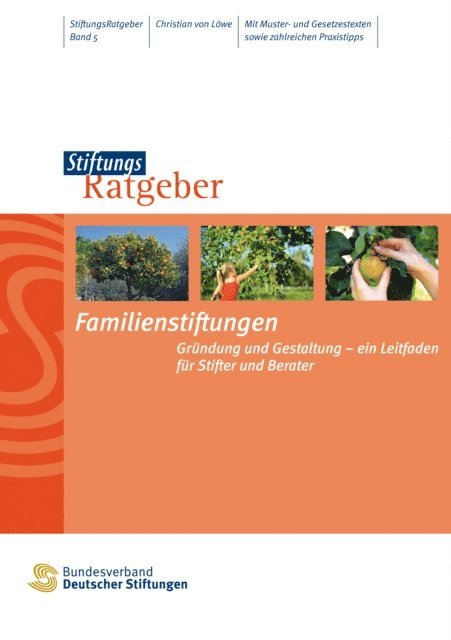 Christian von Lowe - Familienstiftungen, E-bok