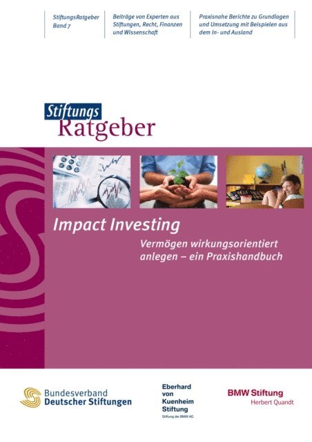 BMW Stiftung Herbert Quandt, Eberhard von Kuenheim Stiftung der BMW AG, Bundesverband Deutscher Stiftungen - Impact Investing, E-bok