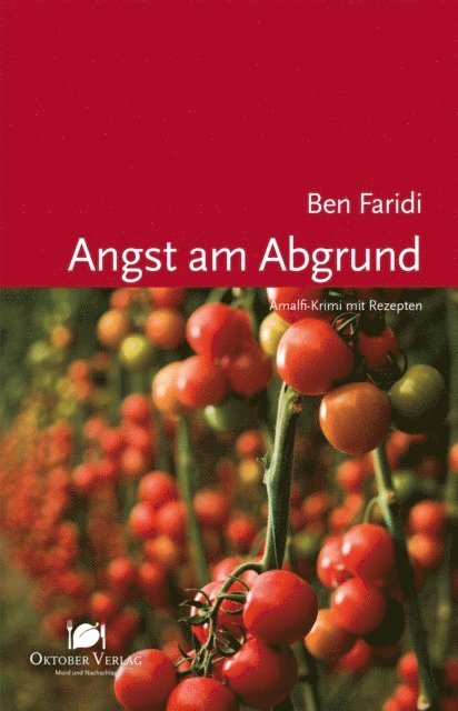Ben Faridi - Angst am Abgrund, E-bok