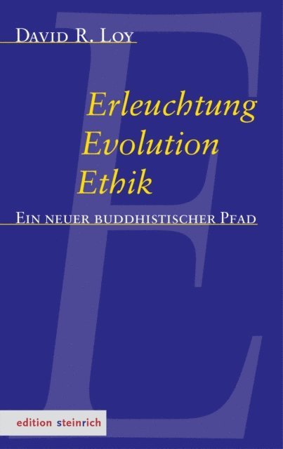 David Loy - Erleuchtung, Evolution, Ethik, E-bok