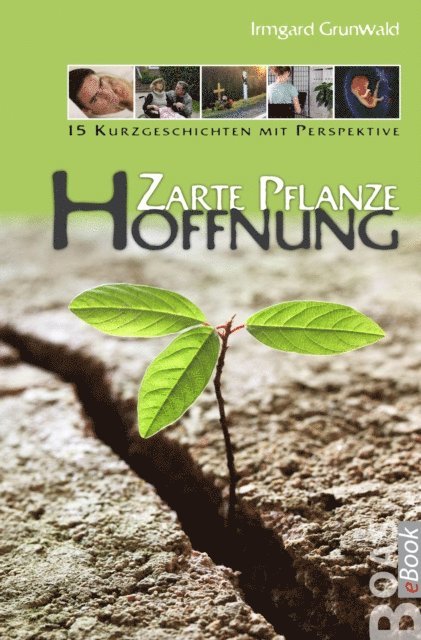 Irmgard Grunwald - Zarte Pflanze Hoffnung, E-bok
