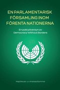 En Parlamentarisk Församling Inom Förenta Nationerna: En policyöversyn av Democracy Without Borders