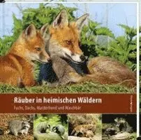 Klaus Borrmann - Räuber in heimischen Wäldern, Inbunden. Tillgänglighet: Lägg i varukorg
