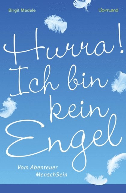 Birgit Medele - Hurra! Ich bin kein Engel, E-bok