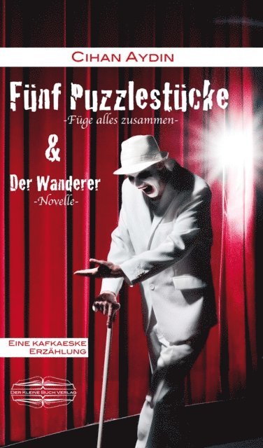 Cihan Aydin, Sonia Lauinger - Fünf Puzzlestücke, E-bok
