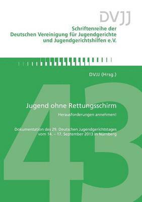 Dvjj - Jugend ohne Rettungsschirm - Herausforderungen annehmen!, Häftad