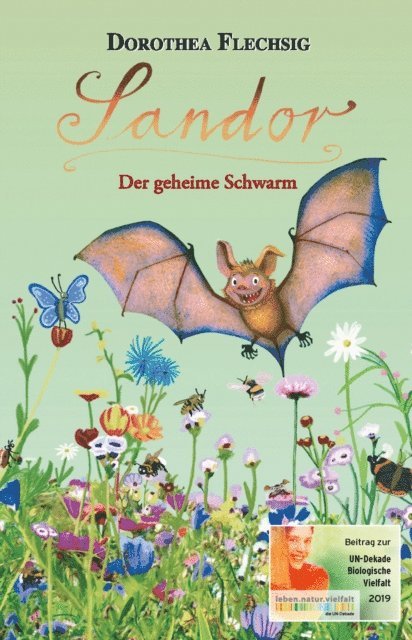 Dorothea Flechsig - Sandor Der geheime Schwarm, E-bok