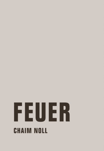 Chaim Noll - Feuer, E-bok
