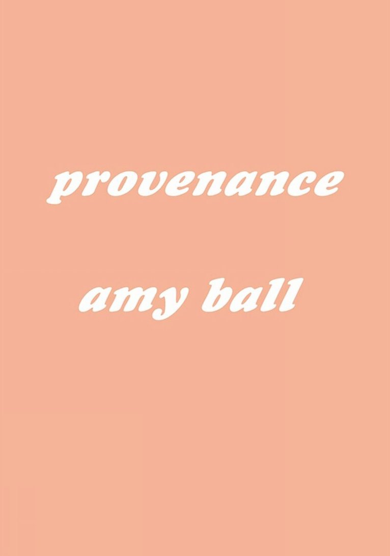 Amy Ball - Provenance, Häftad
