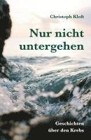 Christoph Kloft - Nur nicht untergehen, Häftad