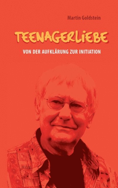 Martin Goldstein - Teenagerliebe, E-bok