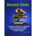 Bonsai Trees