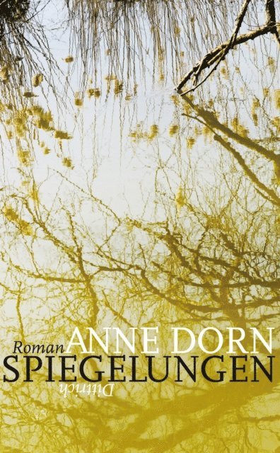 Anne Dorn - Spiegelungen, E-bok