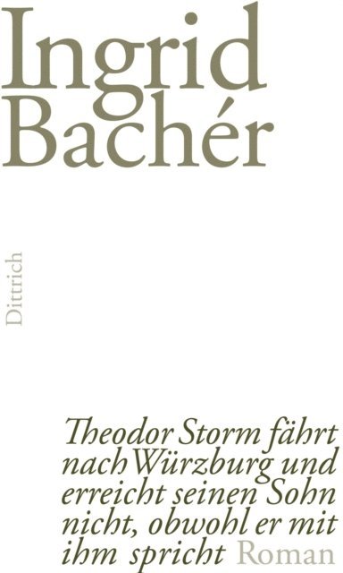 Ingrid Bacher - Theodor Storm fährt nach Würzburg und erreicht seinen Sohn nicht, obwohl er mit ihm spricht, E-bok