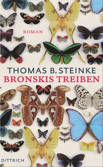 Thomas Steinke - Bronskis Treiben, E-bok