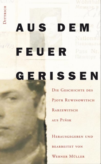 Werner Muller - Aus dem Feuer gerissen, E-bok