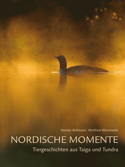 Werner Bollmann, Winfried Wisniewski - Nordische Momente, E-bok