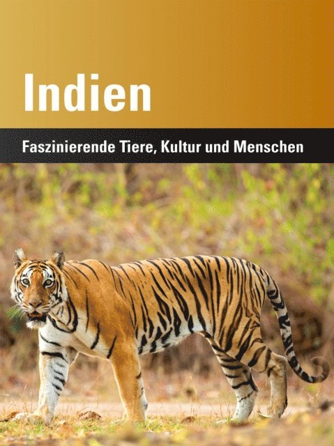 Harry P. Lux, Kerstin von Splenyi, Harald Lydorf - Indien, E-bok