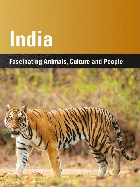 Harry P. Lux, Kerstin von Splenyi, Harald Lydorf - India, E-bok