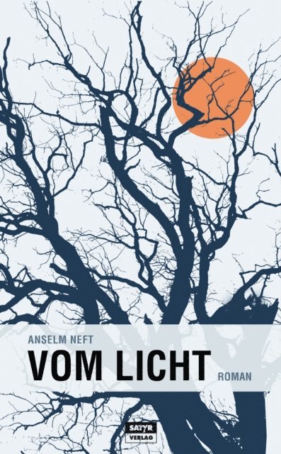 Anselm Neft - Vom Licht, E-bok