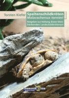 Torsten Kiefer - Spaltenschildkröten Malacochersus tornieri, Häftad