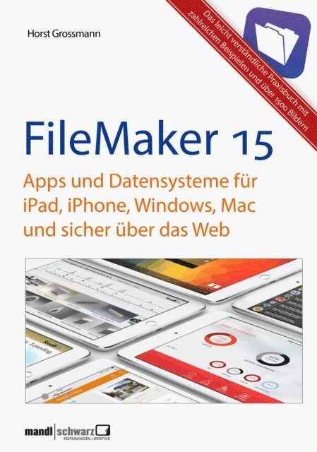 Horst Grossmann - FileMaker Pro 15 Praxis - Datenbanken & Apps für iPad, iPhone, Windows, Mac und Web, E-bok