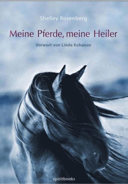 Shelley Rosenberg - Meine Pferde, meine Heiler, E-bok
