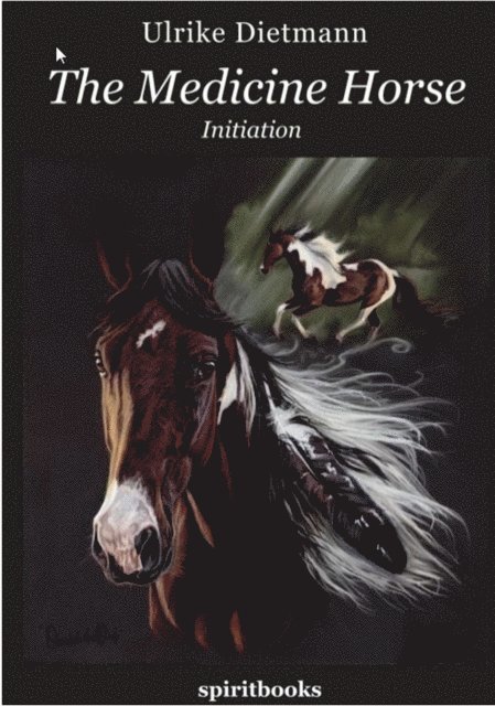 Ulrike Dietmann - Medicine Horse, E-bok