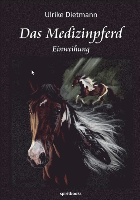 Ulrike Dietmann - Das Medizinpferd, E-bok