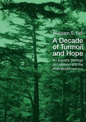 Wissam S Yafi - Decade of Turmoil and Hope, Häftad