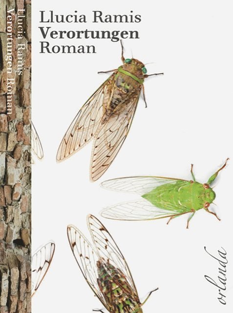 LLucia Ramis - Verortungen, E-bok