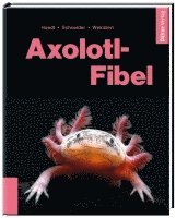 Werner Hoedt, Maite Schneider, Friederike Weinzierl - Axolotl-Fibel, Inbunden