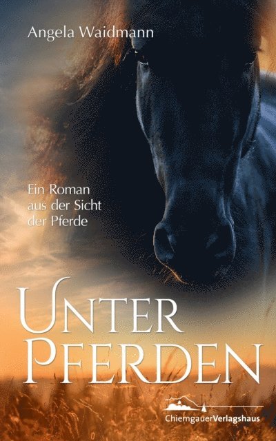 Angela Waidmann - Unter Pferden, E-bok