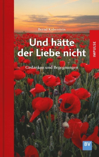 Bernd Koberstein - Und hätte der Liebe nicht, E-bok