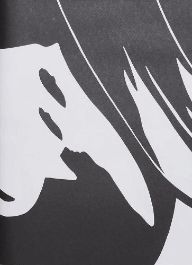 Wolfgang Gäfgen - Schatten – Ombre, Häftad