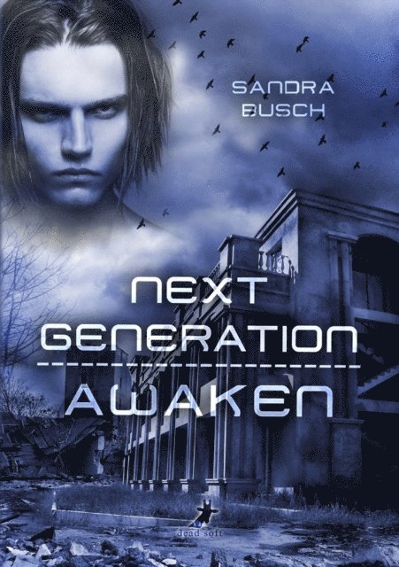 Sandra Busch - Next Generation - Awaken, E-bok