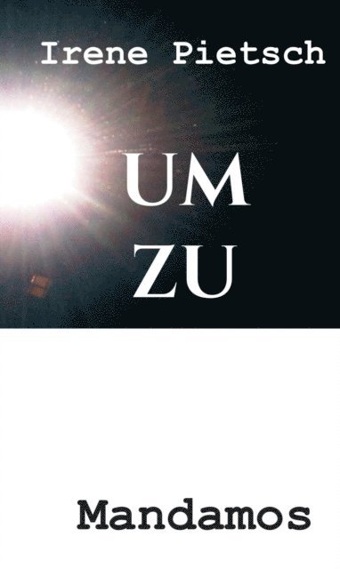 Irene Pietsch - UM ZU, E-bok