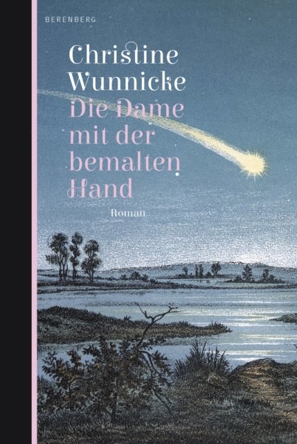 Christine Wunnicke - Die Dame mit der bemalten Hand, E-bok