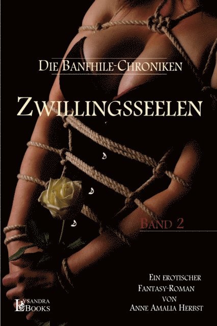 Anne Amalia Herbst - Zwillingsseelen, E-bok