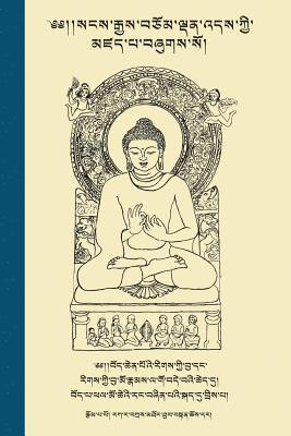 Tethong Thubten Choedhar Rakra Rinpoche, Choekyi Gyaltsen Shingza Rinpoche - Life of Buddha in Colloquial Tibetan, Häftad