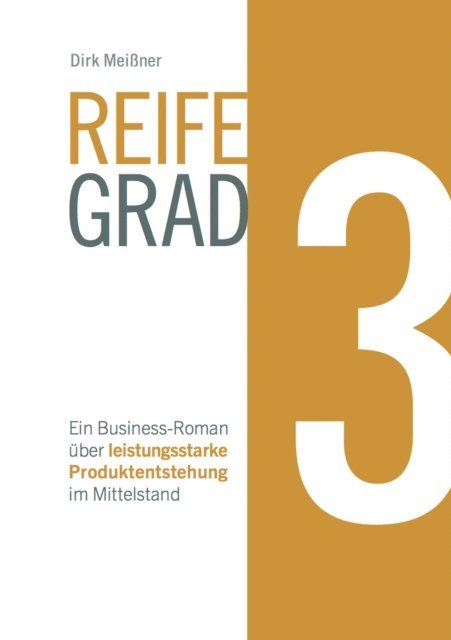 Dirk Meiner - Reifegrad 3, E-bok