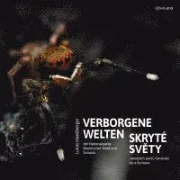 Verborgene Welten, Inbunden. Tillgänglighet: Lägg i varukorg