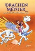 Drachenmeister Band 2 - Die Rettung des Sonnendrachen