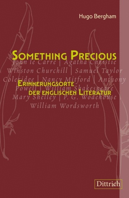 Hugo Bergham - Something Precious, E-bok