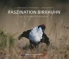 Egbert Strauß, Theo Grüntjens, Cornelia Meutzner - Faszination Birkhuhn, Häftad. Tillgänglighet: Lägg i varukorg