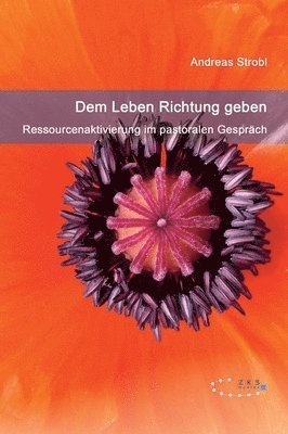 Andreas Strobl - Dem Leben Richtung geben - Ressourcenaktivierung im pastoralen Gespräch, Inbunden