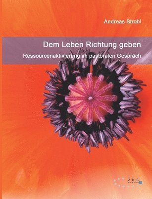 Andreas Strobl - Dem Leben Richtung geben - Ressourcenaktivierung im pastoralen Gespräch, Häftad