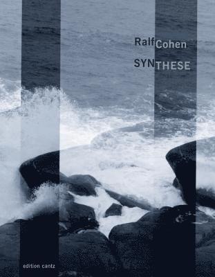 Peter Hank - Ralf Cohen - Synthese, Inbunden